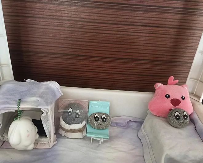 突然火了暴增246%！有人月入过万…(图1)