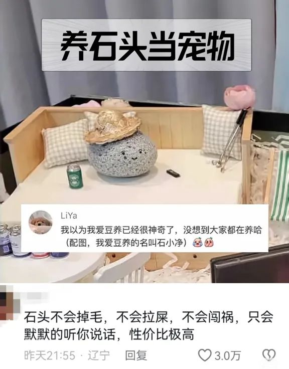突然火了暴增246%！有人月入过万…(图3)