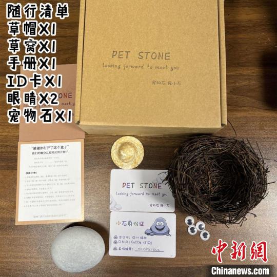 年轻人爱上“养石头” 宠物周边套装热销(图1)