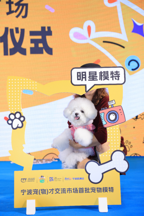 它经济势不可挡！中国（宁波）宠物用品博览会成功举办！(图4)