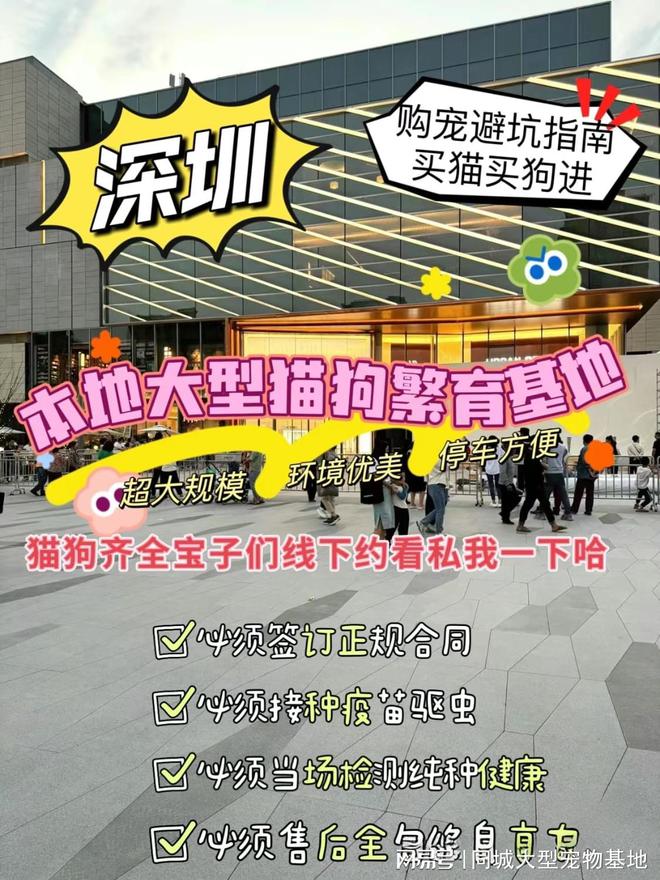 深圳宠物市场在哪里深圳这里实体店选购宠物安全更可靠！(图1)