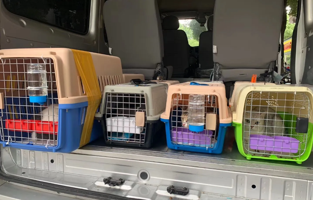 猫包外出便携拉杆箱猫咪行李箱宠物背包大容量狗狗猫箱推车太空舱(图1)
