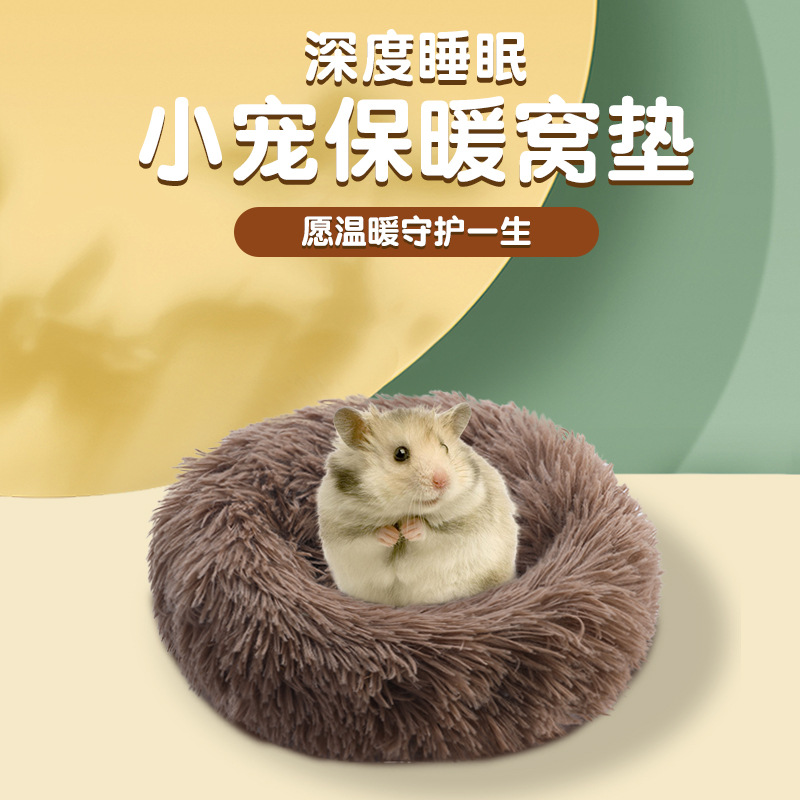 宠物消费崛起：超越男性消费背后的情感经济(图1)