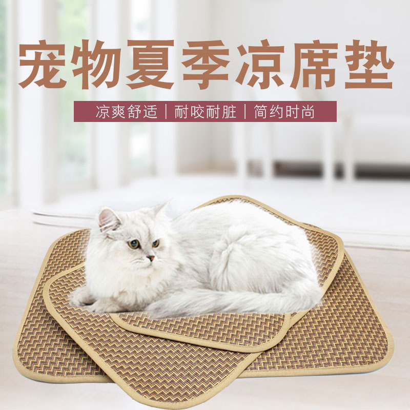 天元宠物上涨538%报1879元股(图1)