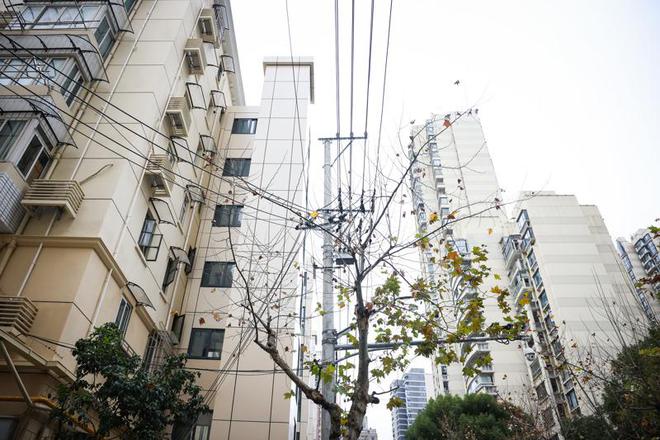 民生点滴事都挂心头！——在上海感受人与城的温暖瞬间(图1)
