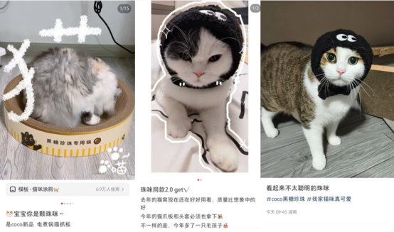 CoCo都可首家宠物友好店亮相 携手复旦爱和猫协救助流浪动物(图5)