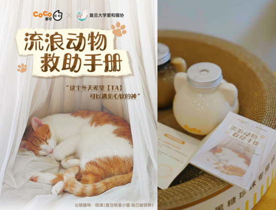 CoCo都可首家宠物友好店亮相 携手复旦爱和猫协救助流浪动物(图9)