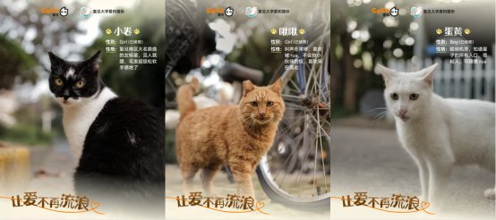 CoCo都可首家宠物友好店亮相 携手复旦爱和猫协救助流浪动物(图10)