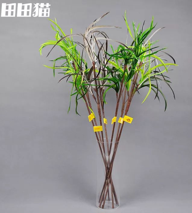 新品爆款丨亚宠华南展 质优心选(上)(图6)