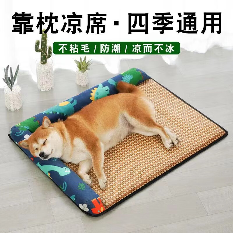 宠物产业的黑马：天元宠物吸引多家机构调研背后秘密揭晓！(图1)