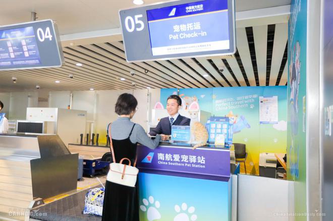民航联盟：宠物也能“坐”飞机 南航首推“爱宠进客舱”服务(图4)