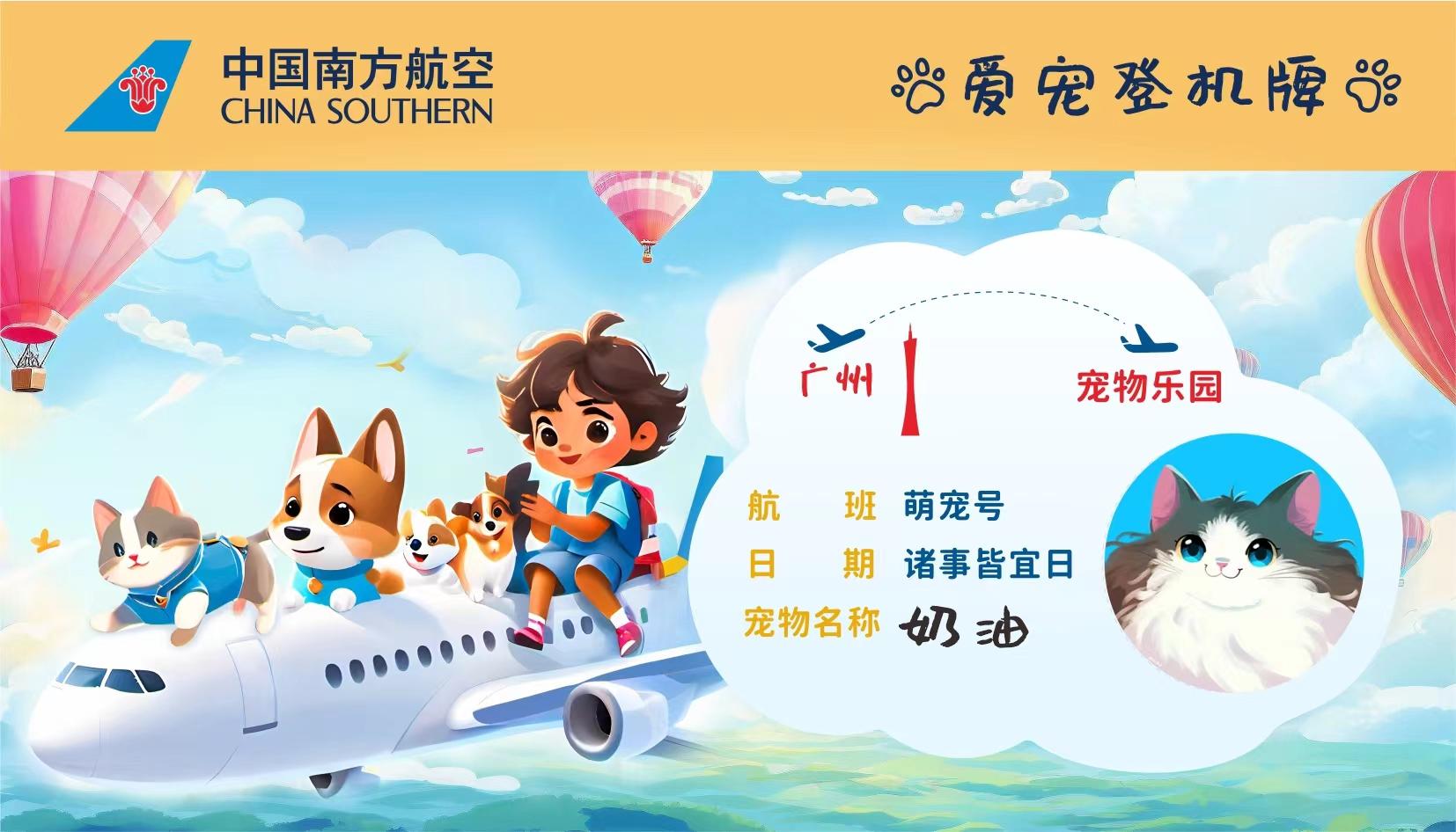 假期将至如何让宠物舒适出行？这份攻略请收好(图3)