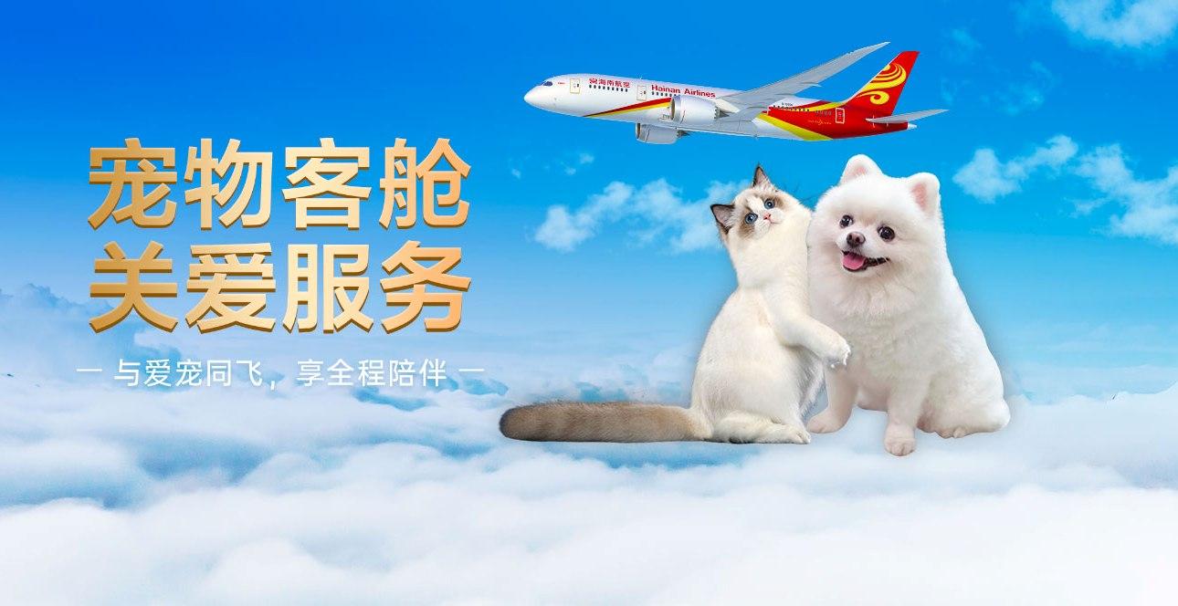 假期将至如何让宠物舒适出行？这份攻略请收好(图4)