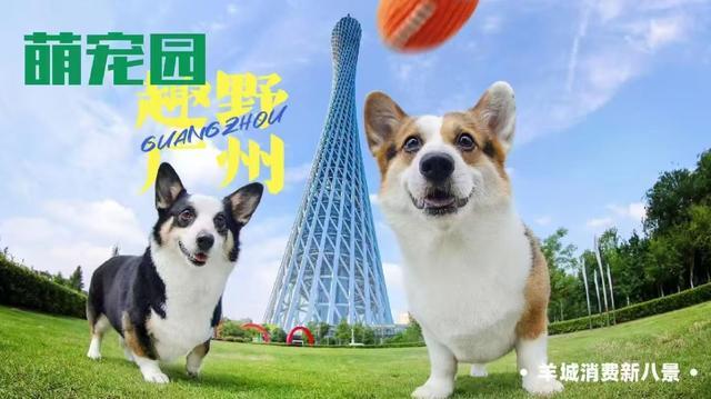 广州羊城消费新八景发布 创新消费场景引领潮流(图4)