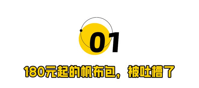 180元的胖东来帆布包2025第一时尚单品(图2)