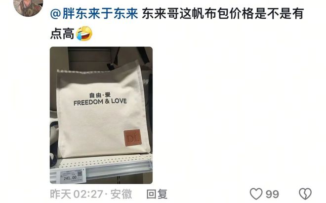 180元的胖东来帆布包2025第一时尚单品(图5)