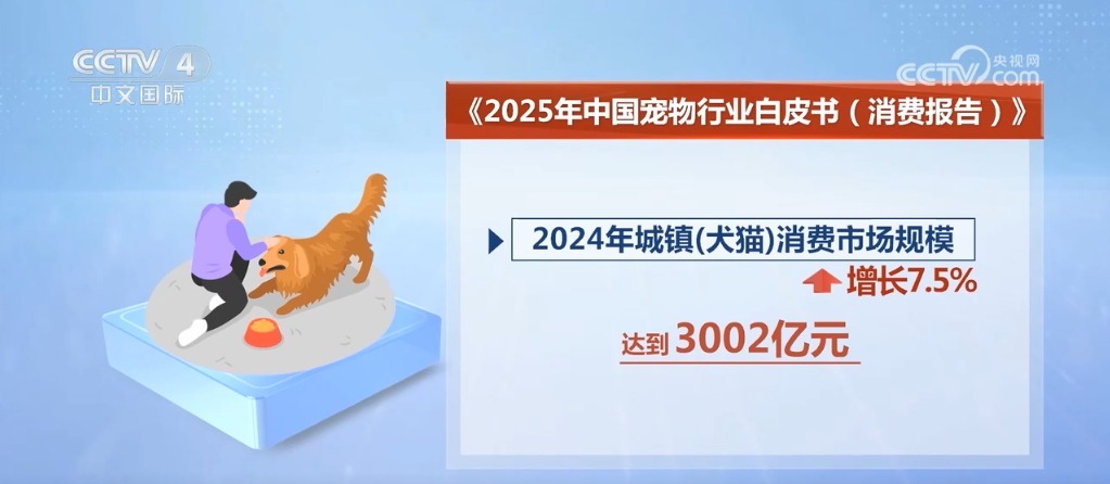 “小”宠物激发“大”市场 “它经济”成为年轻力消费新趋势(图2)