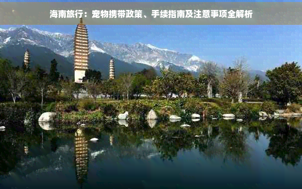 海南旅行：宠物携带政策、手续指南及注意事项全解析(图1)