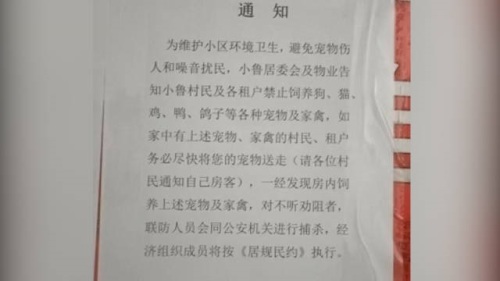 禁止住户养宠物否则捕杀物业有权力这么做吗？大家怎么看？(图1)