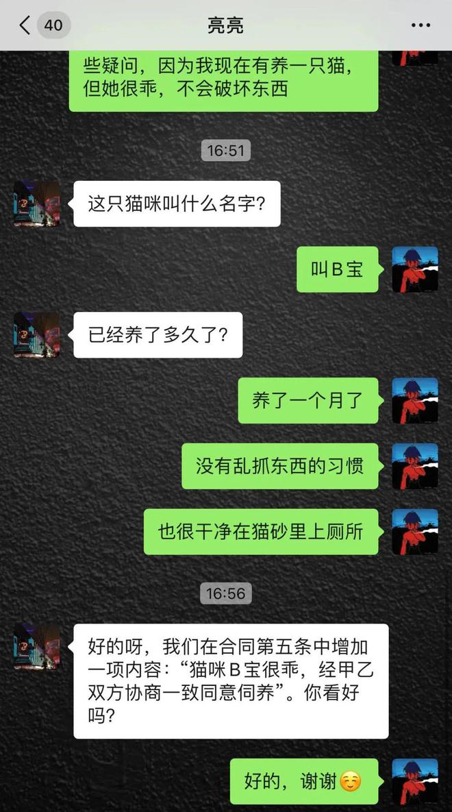 房东不让养猫妹子就发了猫咪照片过去…房东：行八它看起来很有礼貌(图4)