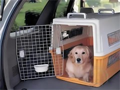 瑞派宠物医院荣获Pet Awards派读奖2024(图1)