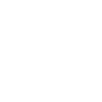 丙纶织带-宠物带(图1)