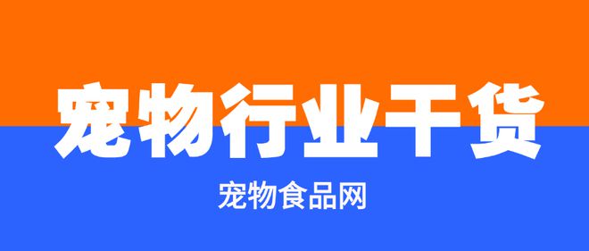 品牌人物访谈赵玉科：2025即将迎来新赛道！(图4)