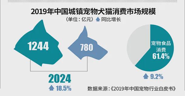 品牌人物访谈赵玉科：2025即将迎来新赛道！(图2)
