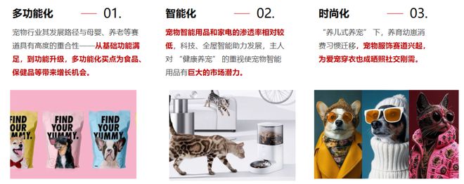 POP趋势 × 上海宠物时装周联合发布白皮书 “和合共生·从功能到情感”(图2)