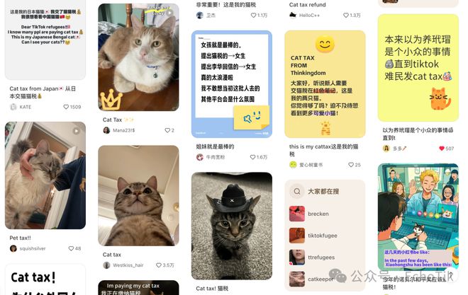 喜运达资讯：毛利率高品！这家小店靠售卖宠物防泥地垫在(图1)