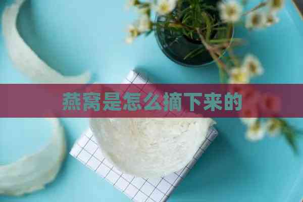 燕窝是怎么摘下来的(图4)
