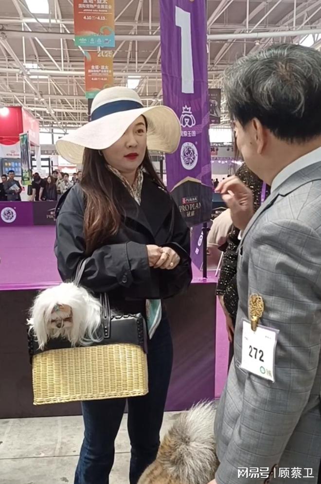 霍思燕参加青岛宠物展！包包里装狗狗身材发福却依旧美的惊艳(图1)