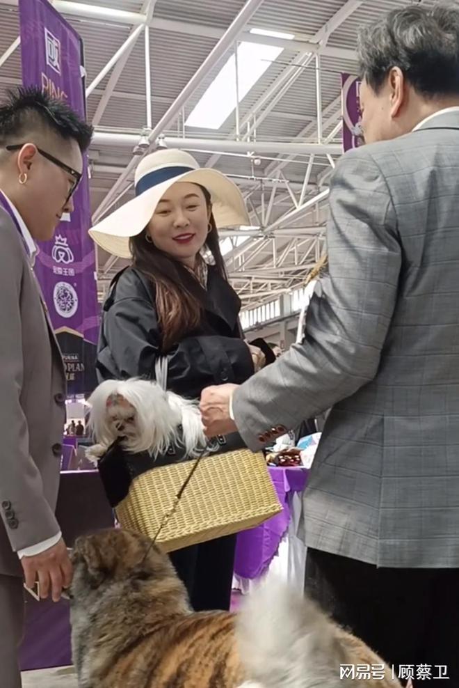 霍思燕参加青岛宠物展！包包里装狗狗身材发福却依旧美的惊艳(图2)