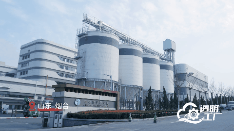 人民网“透明工厂”走进顽皮 解码一颗宠粮的全球进化论(图1)