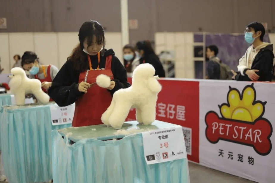 2025年中国宠物经济行业发展现状、竞争格局及趋势预测(图1)