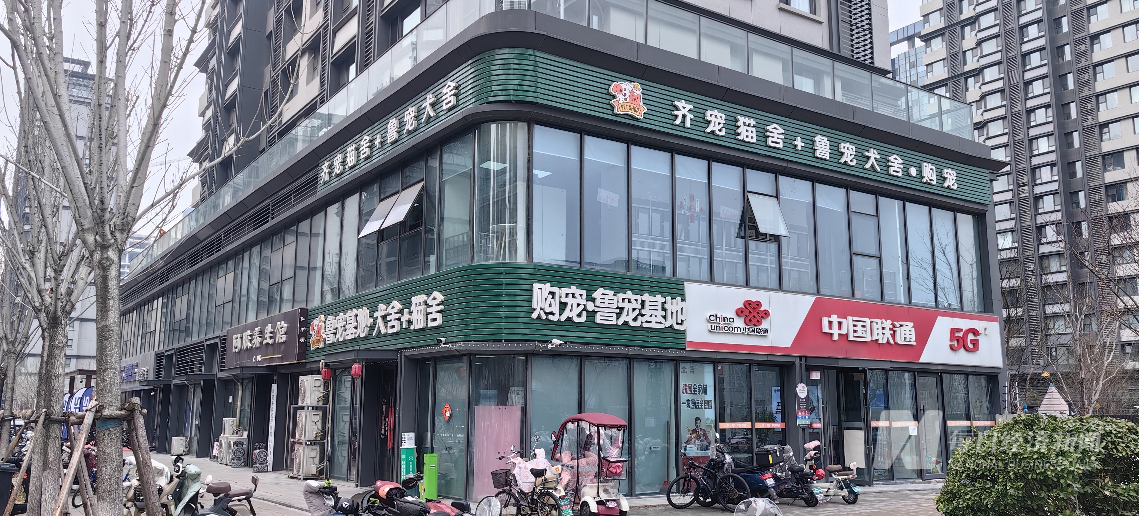 “2025 宠物消费·智享未来报告”｜狗粮也加中药宠物从“吃饱”转型“吃好” 国产品牌崛起驱动万亿元市场(图3)