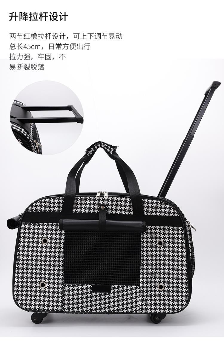 1688崛起为创业热土：年轻人的厂牌主理人时代来临！(图1)