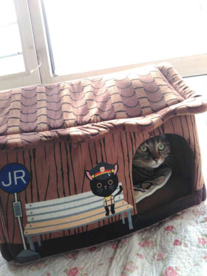 猫狗窝十大品牌排行榜(图1)