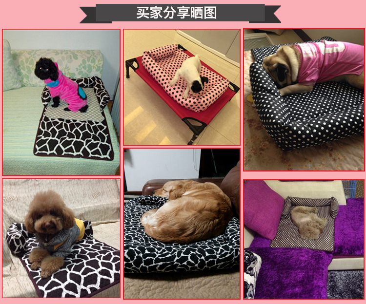 上市公司宠物用品龙头（2025423）(图1)