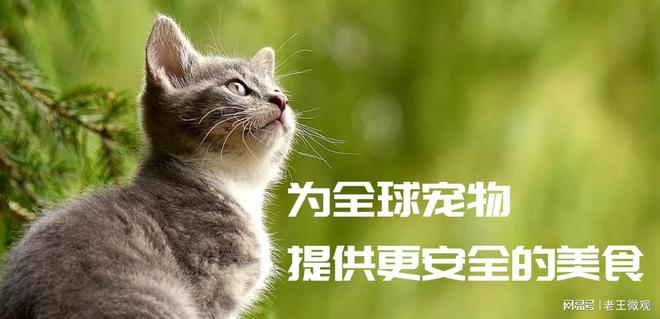山东汉欧宠物食品有限公司：“领跑”宠物食品行业(图3)