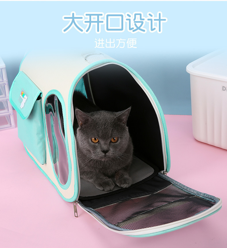 久久不见久久见！海南舰、五指山舰要回家乡啦(图1)