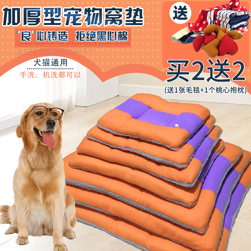 助力宠物行业发展！新国标标准实施将提高服务质量(图1)