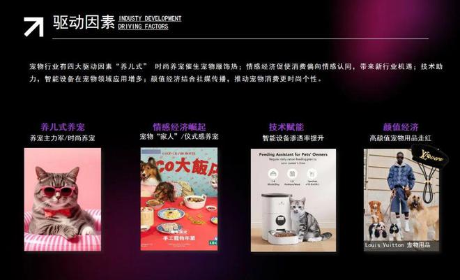 POP趋势 × 上海宠物时装周《2025年宠物时尚趋势白皮书》盛大发布(图4)