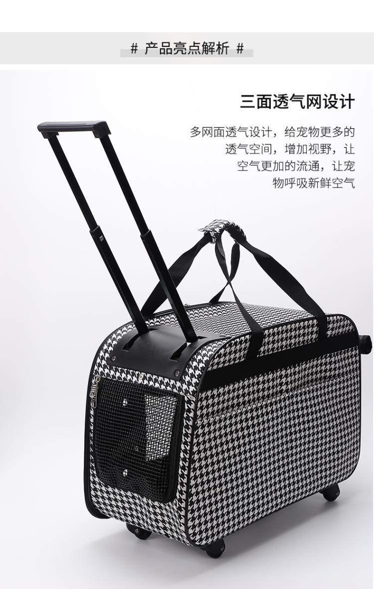近23万人次逛展！宠物行业新年首展热闹非凡(图1)