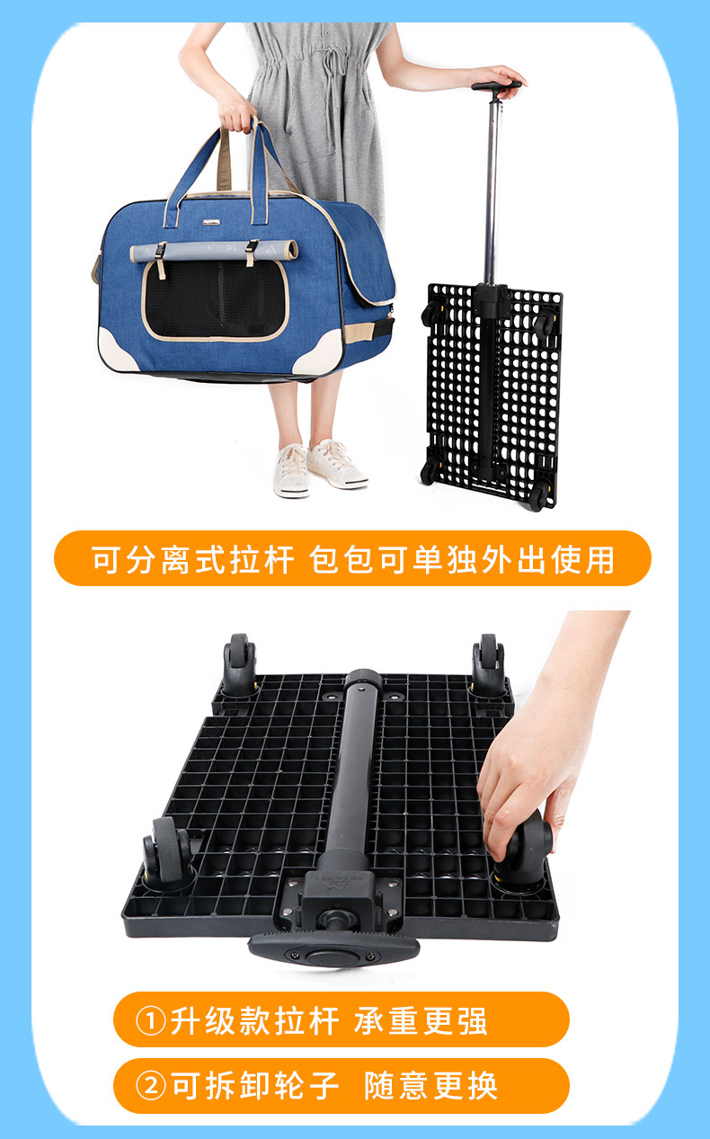 1688宠物行业首次登陆亚宠展(图1)
