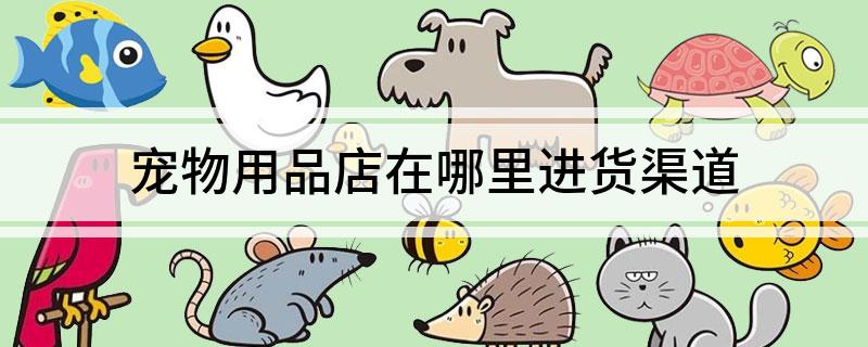 宠物用品店在哪里进货渠道(图1)