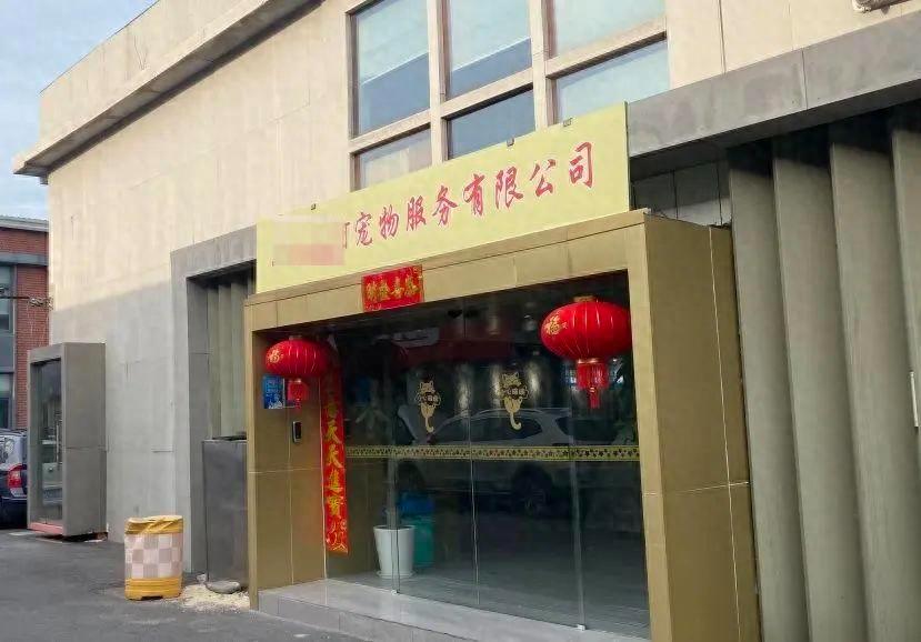宠物购买当天就死亡！上海170多人被骗有人遭店家恐吓一审判了：恶势力犯罪集团12人获刑(图1)