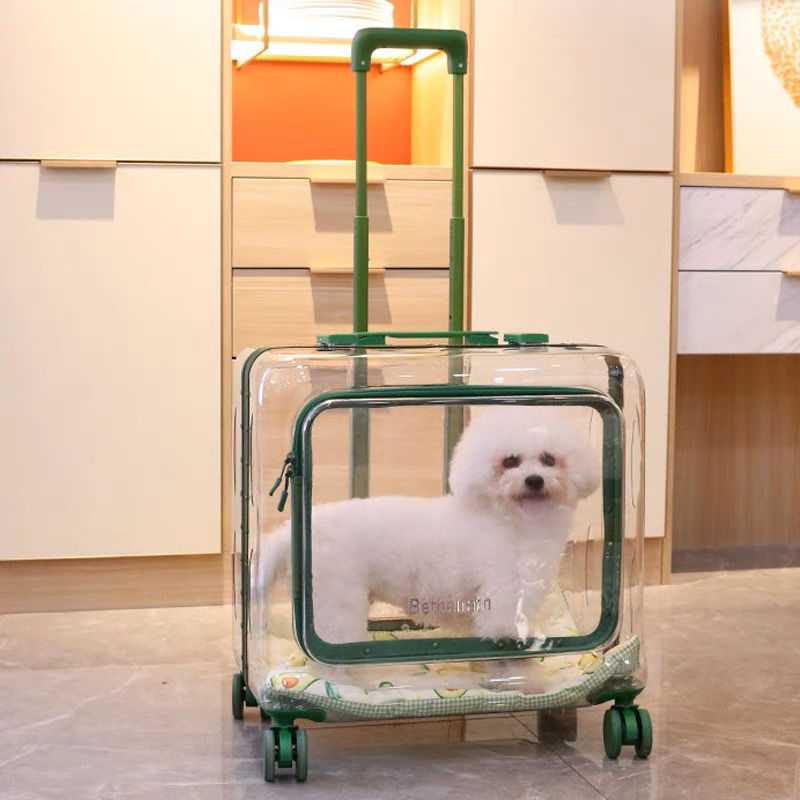 一场对接会助外贸优品入万家（经济聚焦·加快推动内外贸一体化）(图1)