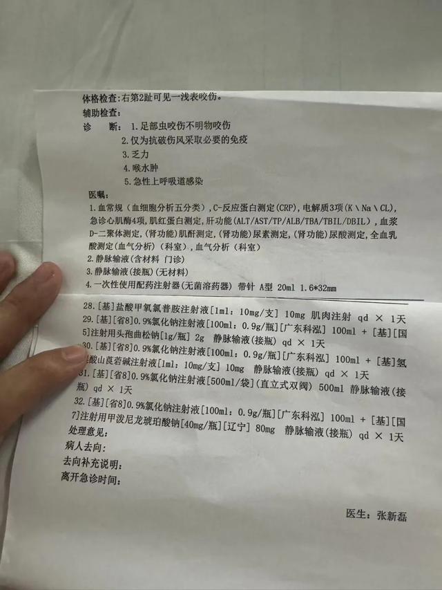 三亚游客被咬伤致死家属最新发声(图2)