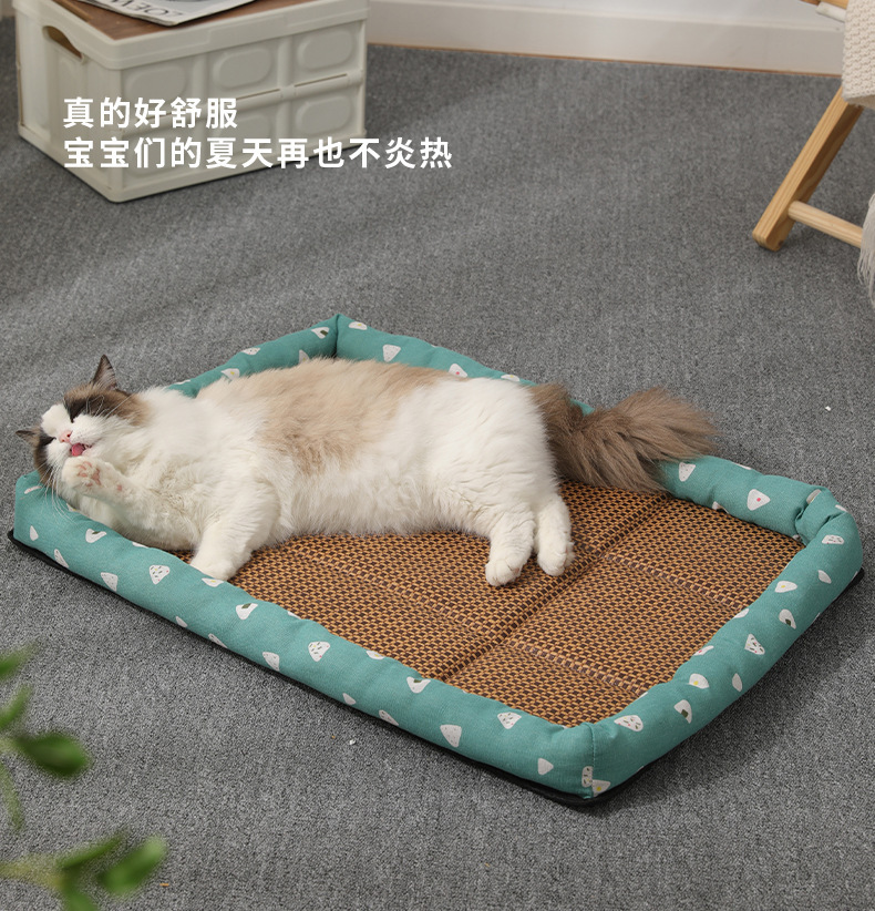 萌宠总动员来啦！厦门水族及宠物用品展览会带你开启宠物新世界(图1)
